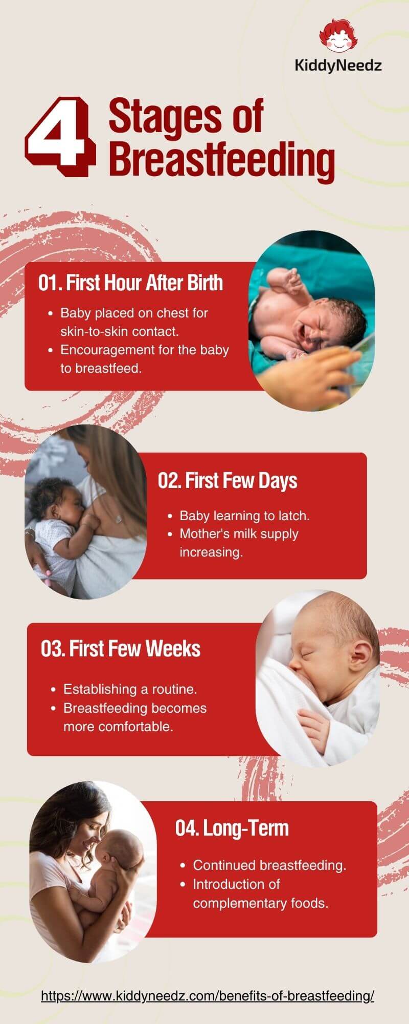 Infographic - 4 stages of breastfeeding